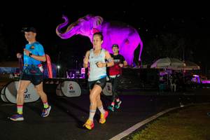 BIB: 
                            <button type="button" onclick="openModal(26543005)" class="btn btn-primary btn-sm float-right btn-popup" data-toggle="modal" data-target=".modal-high-quality">
                        <i class="fas fa-shopping-cart"></i> Add to Cart
                    </button>
                                            <button type="button" onclick="isThisMe(26543005, true)" class="btn btn-success btn-sm float-right btn-popup btn-isme hidden" data-toggle="tooltip" data-placement="bottom" title="นี่คือรูปของคุณใช่ไหม คลิกที่นี่เพื่อเอาเข้าอัลบั้ม">
                        <i class="fas fa-plus"></i> Add to album
                    </button>
                    <button type="button" onclick="isThisMe(26543005, false)" class="btn btn-warning btn-sm float-right btn-popup btn-isnotme hidden">
                        <i class="fas fa-ban"></i> Remove from album
                    </button>